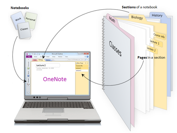 How to Organize Data with Microsoft OneNote | TheAppTimes