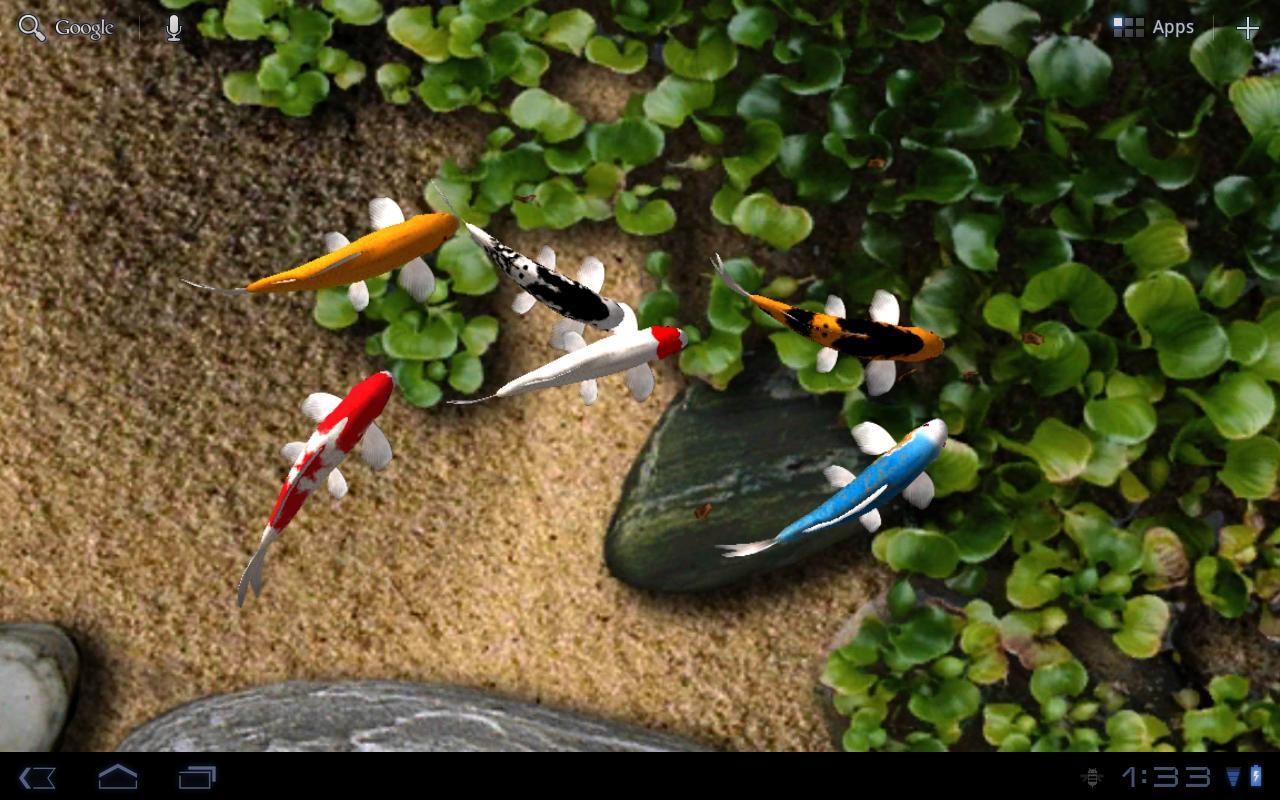 Koi Free Live Wallpaper Koi Free Live Wallpaper