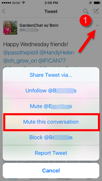 how-to-mute-a-twitter-conversation-on-your-phone
