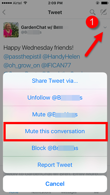 How To Mute A Twitter Conversation - TheAppTimes