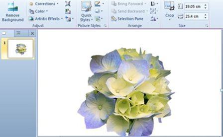 Remove a Picture Background in PowerPoint 2010