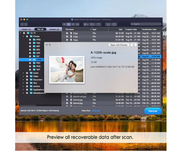 stellar phoenix mac data recovery 7.1 registration key free