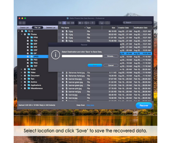 Stellar Phoenix Data Recovery Software for Mac