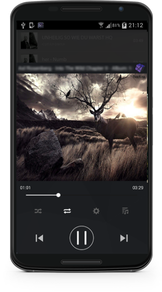 music cube FLAC music player app