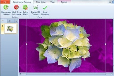 Remove a Picture Background in PowerPoint 2010 - TheAppTimes