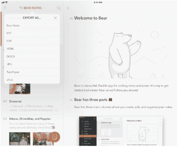 bear app mac