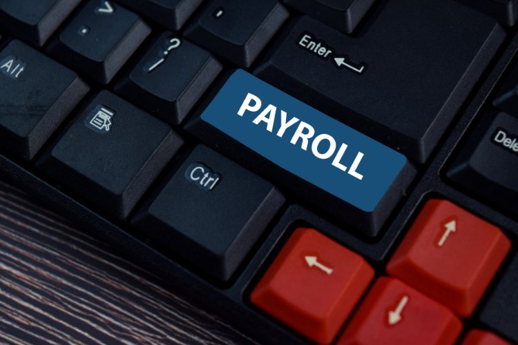 Reporting with a Payroll Management System