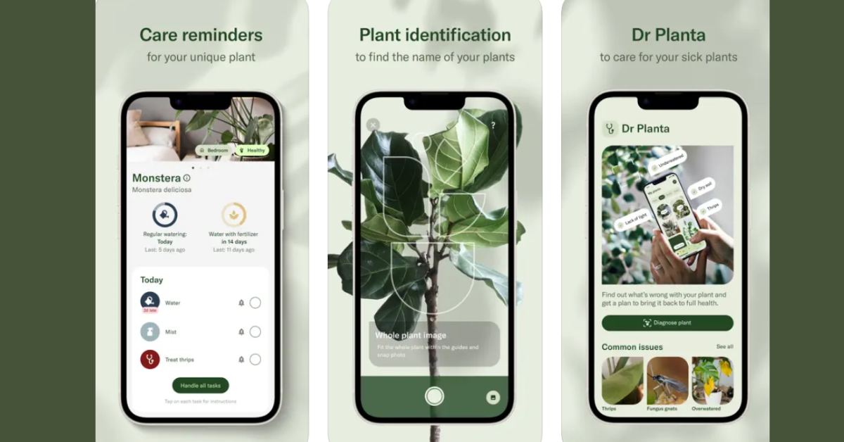 Planta The Ultimate Houseplant Care App for iOS Users