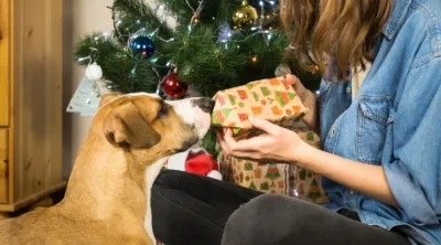 Best Christmas Gifts for Pet Owners - TAT