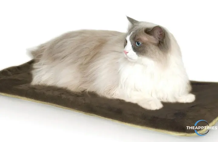 K&H Heated Cat Bed - Best Christmas Gifts for Pet owners